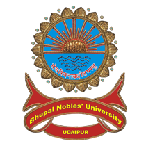 bn-university-logo