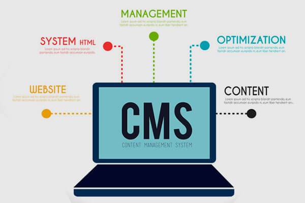 CMS Based Websites